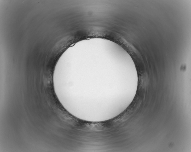X0000089830517200707262026