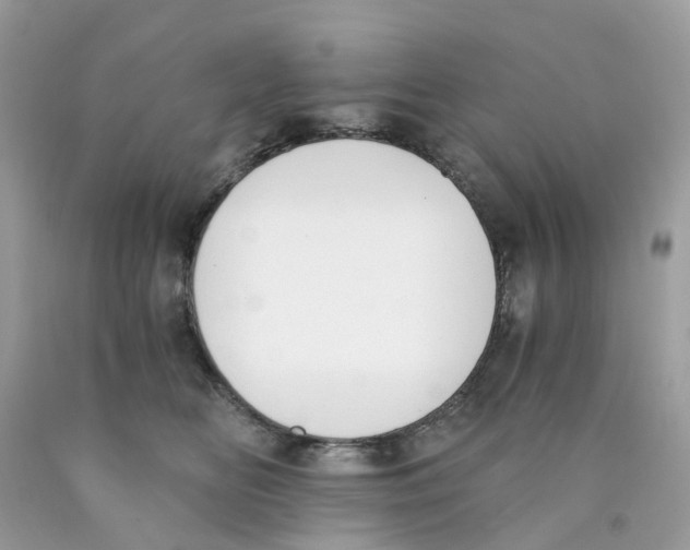 X0000089830518200707262026