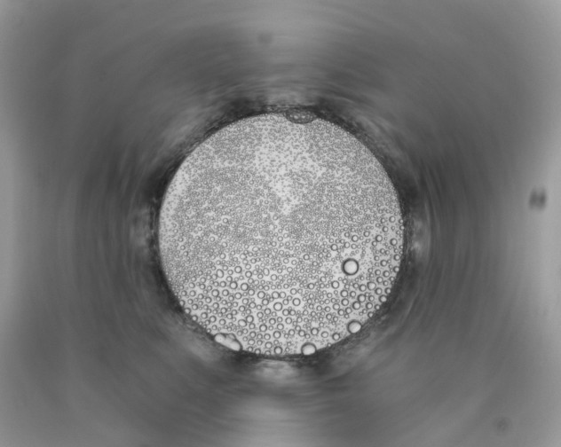 X0000089830519200707262026