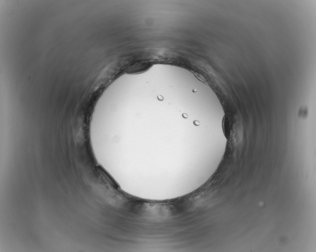 X0000089830520200707262026