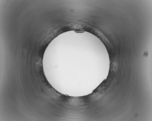 X0000089830521200707262026
