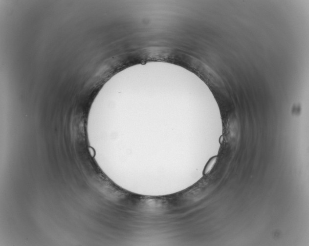 X0000089830522200707262026
