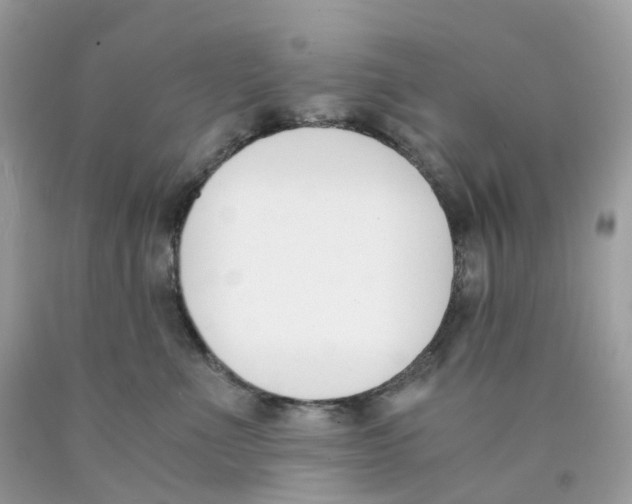 X0000089830523200707262026