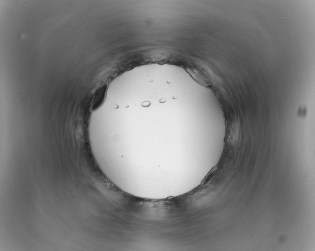 X0000089830524200707262026