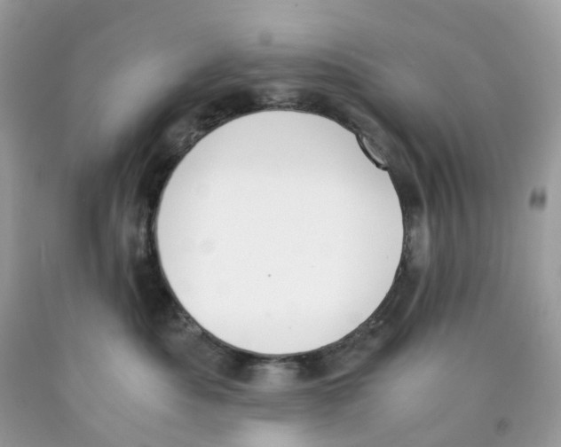 X0000089830525200707262026