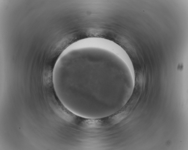 X0000089830526200707262026