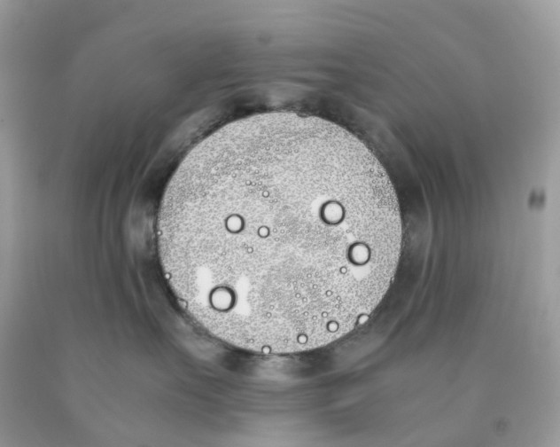 X0000089830527200707262026