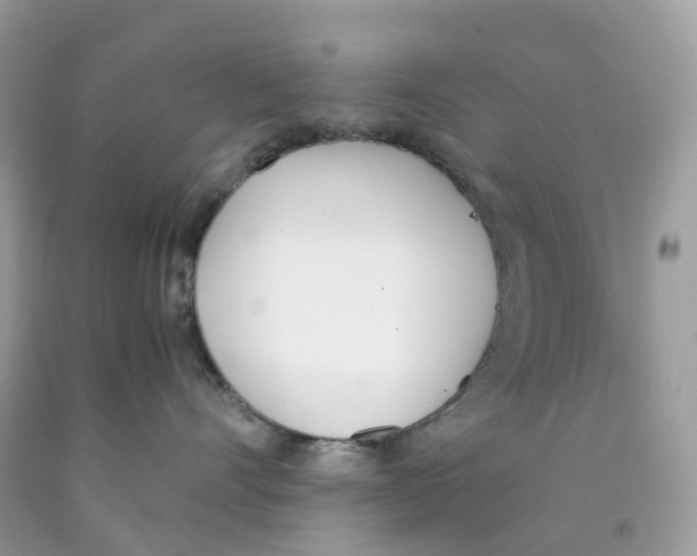 X0000089830528200707262026