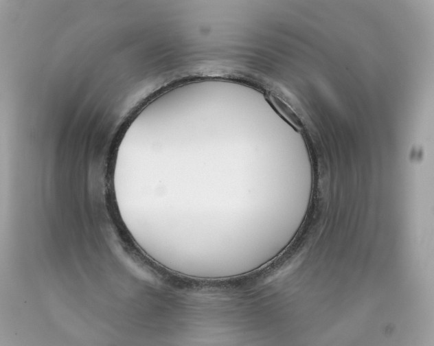 X0000089830530200707262025