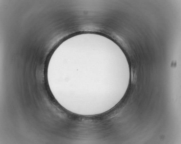 X0000089830531200707262025