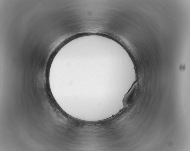 X0000089830532200707262025