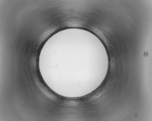 X0000089830533200707262025