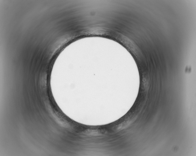 X0000089830534200707262025