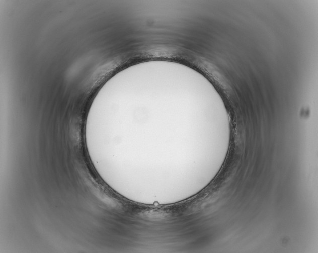 X0000089830537200707262025