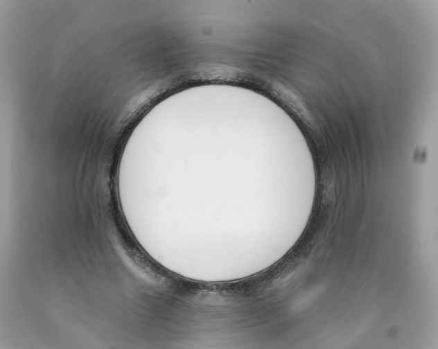 X0000089830538200707262025