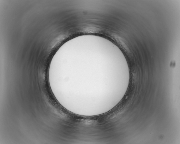 X0000089830539200707262025