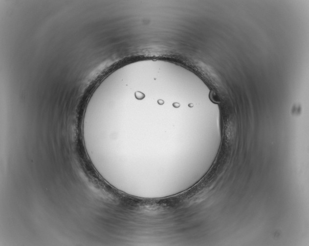 X0000089830540200707262025