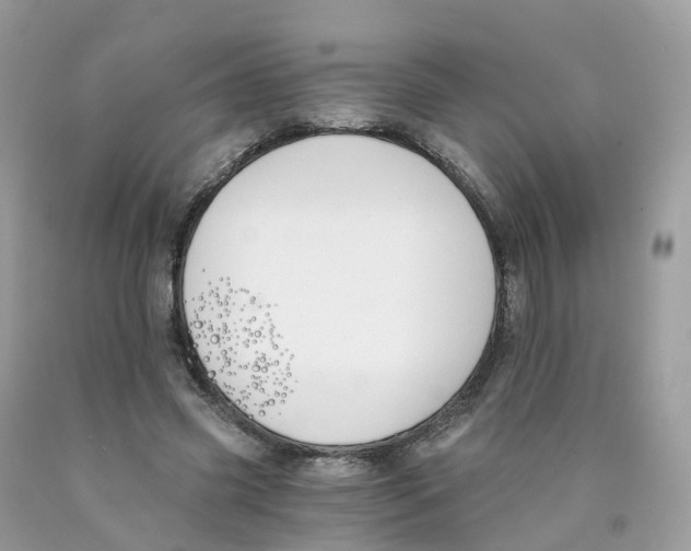 X0000089830541200707262025