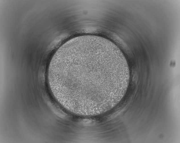 X0000089830542200707262025