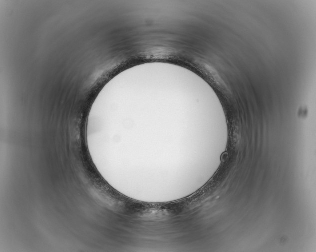 X0000089830543200707262026