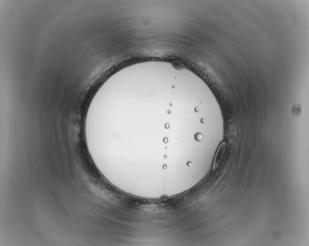 X0000089830544200707262026
