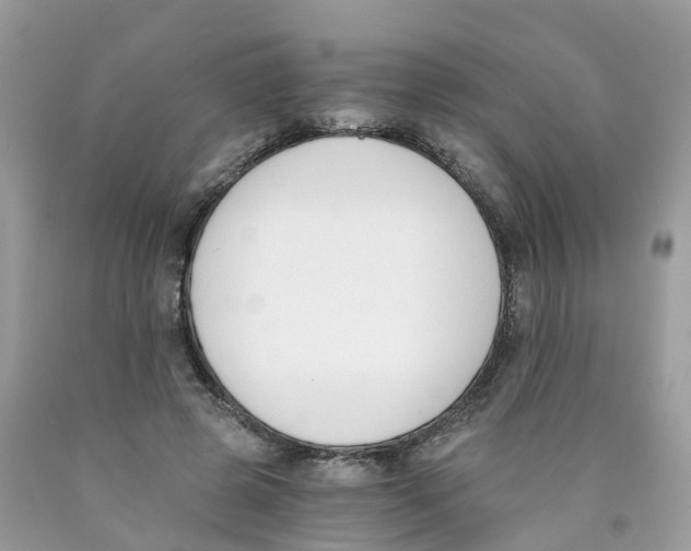 X0000089830545200707262026