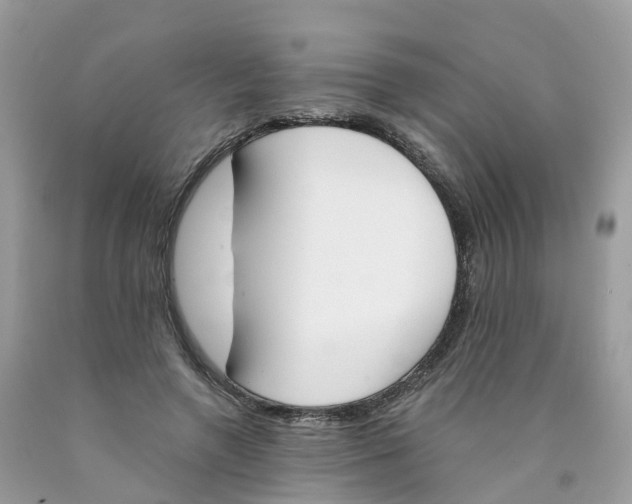 X0000089830546200707262026