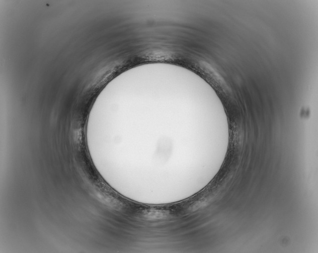 X0000089830549200707262026