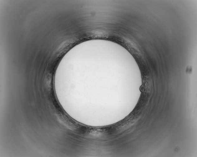 X0000089830550200707262026