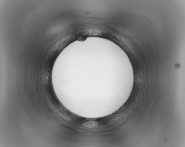 X0000089830551200707262026