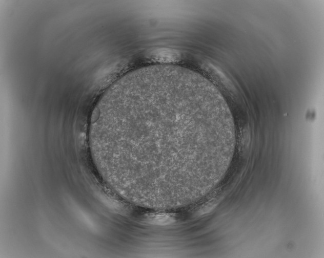 X0000089830553200707262026