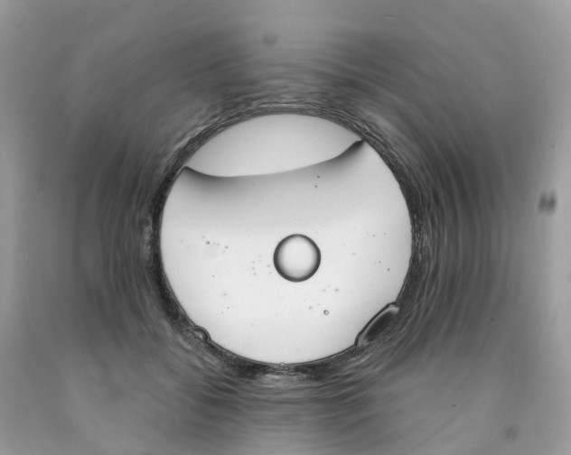 X0000089830556200707262026
