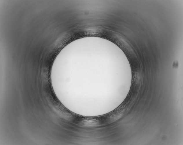 X0000089830557200707262026