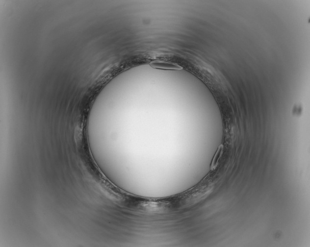 X0000089830558200707262026