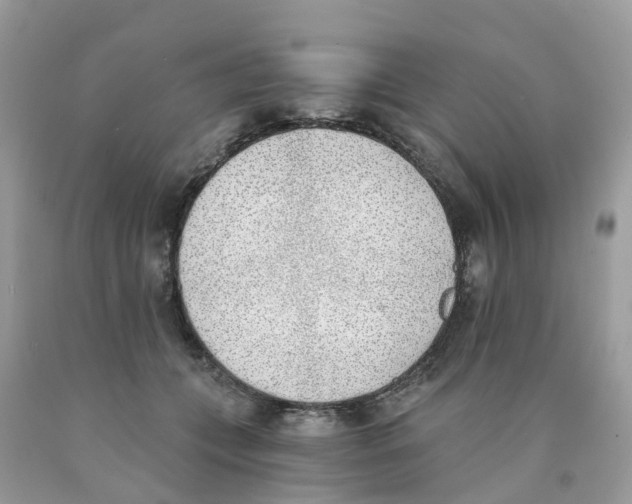 X0000089830559200707262026