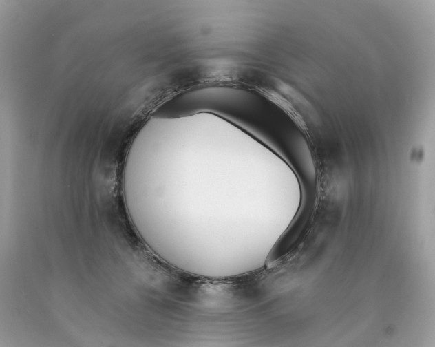 X0000089830560200707262026