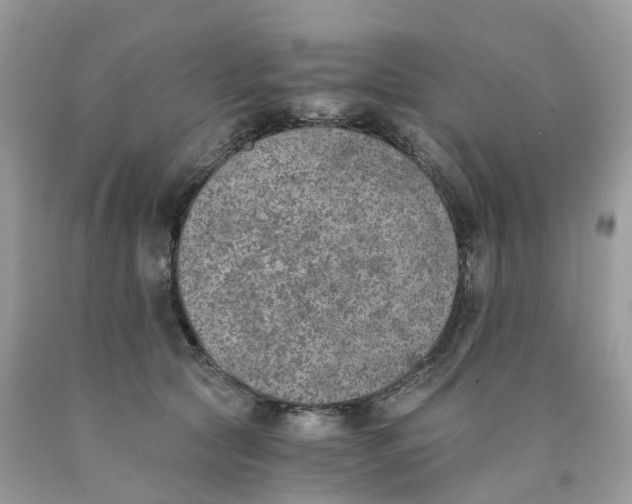 X0000089830561200707262026