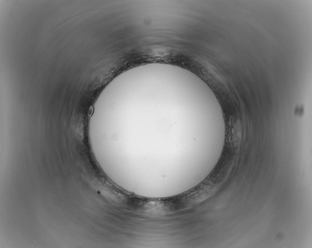 X0000089830562200707262026