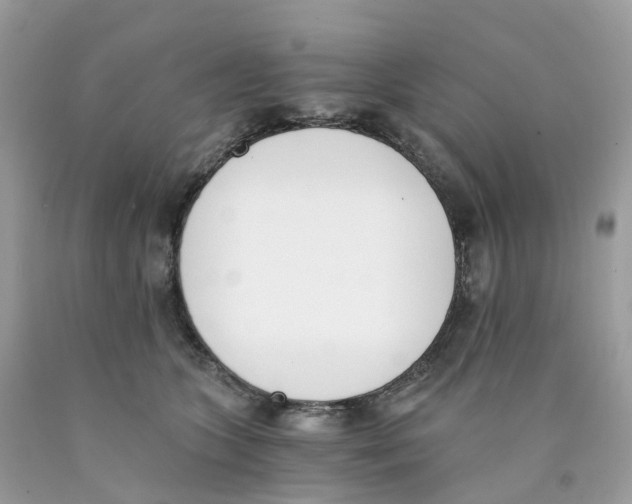 X0000089830563200707262026