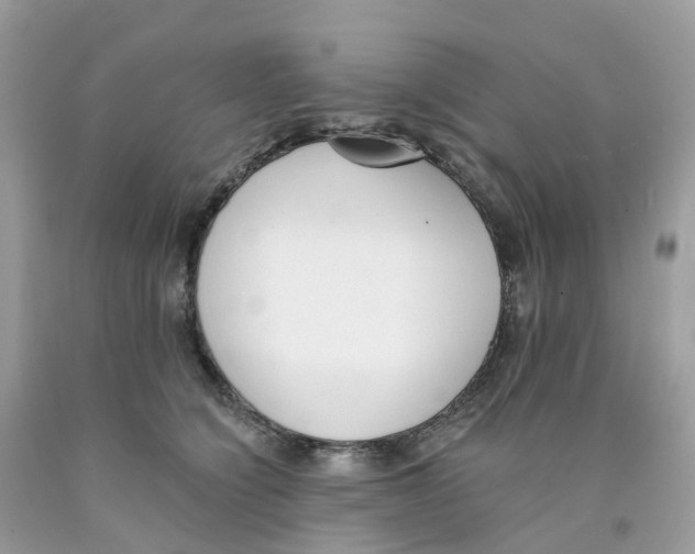 X0000089830564200707262026