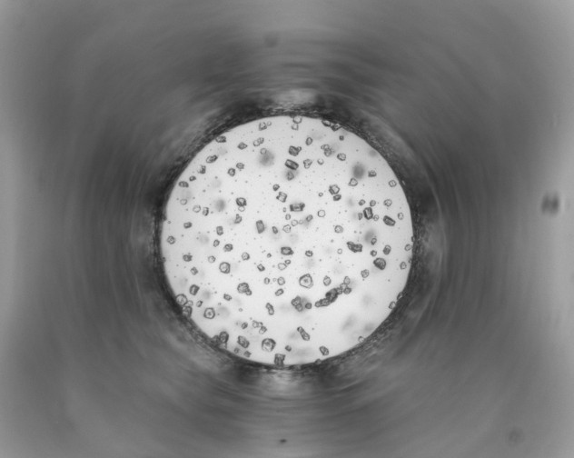 X0000089830565200707262026