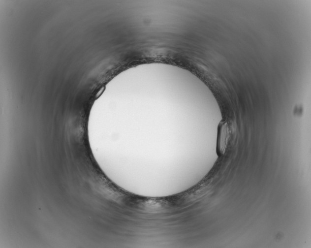 X0000089830566200707262026