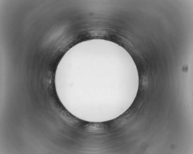 X0000089830567200707262026