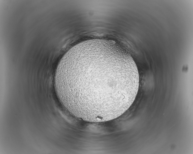 X0000089830568200707262026