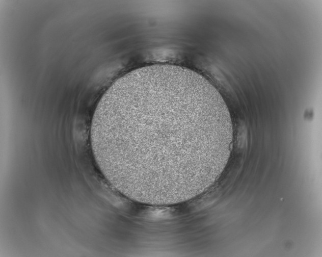 X0000089830569200707262026