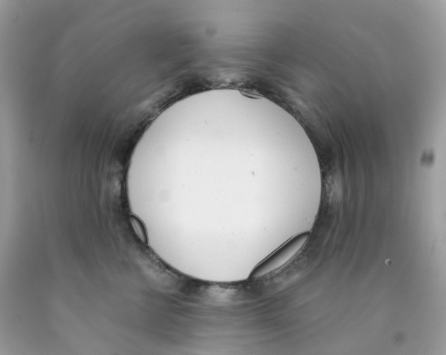 X0000089830570200707262026