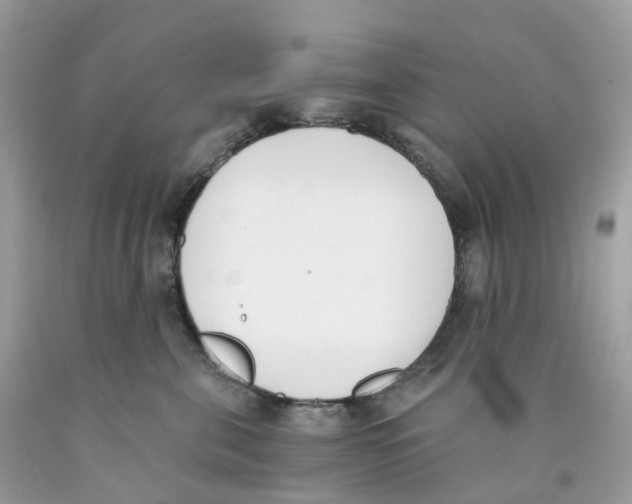 X0000089830571200707262026