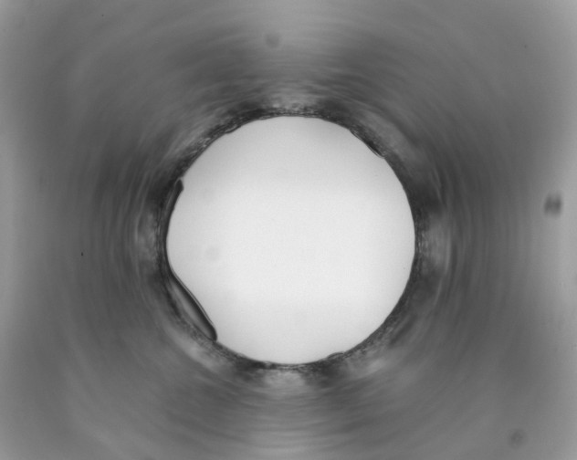 X0000089830572200707262026