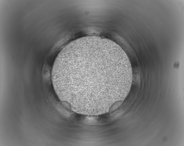 X0000089830573200707262026