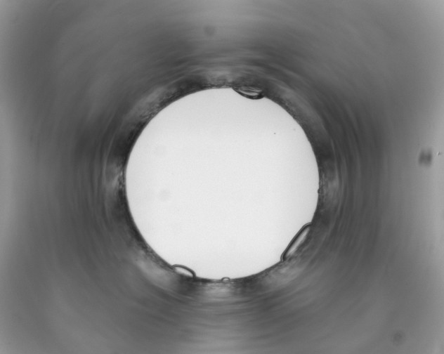 X0000089830574200707262026